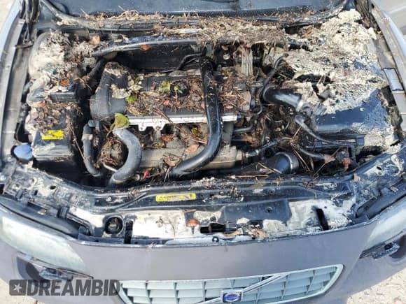 ✅ 2004 Volvo V70 XC Cross Country • VIN: YV1SZ59H841163932 • Lot: 73984504. Listed on Copart with Not provided. Free auction sales archive from the USA and detailed vehicle history report at DreamBid. Image 11.