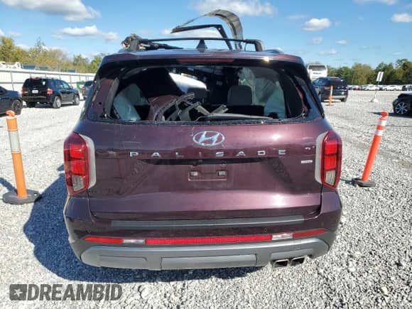 2023 Hyundai Palisade SEL with VIN KM8R4DGE5PU588254, listed as a Copart auction lot 82322025 with Not provided miles and Salvage title. Bid and sale history available at DreamBid. Image 6.