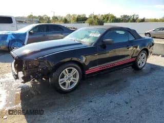 ✅ 2013 Ford Mustang Premium • VIN: 1ZVBP8EM9D5203571 • Lot: 85514485. Listed on Copart with 65,867 mi. Free auction sales archive from the USA and detailed vehicle history report at DreamBid. Image 1.