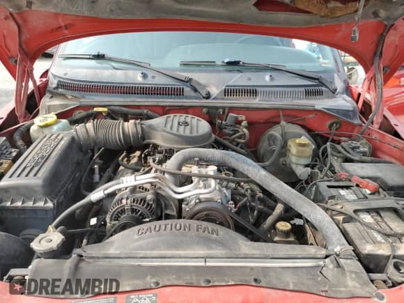 1999 Dodge Dakota SLT z VIN 1B7GL22Y6XS283846, wystawiony jako Copart lot #58123195 z przebiegiem 175 671 mil mil oraz Szkoda całkowita • Salvage title. Historia ofert i sprzedaży dostępna na DreamBid. Obrazek 11.