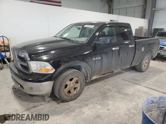 2010 Dodge 1500 ST z VIN 1D7RV1GP2AS102722, wystawiony jako Copart lot #81904244 z przebiegiem 138 515 mil mil oraz Szkoda całkowita • Salvage title. Historia ofert i sprzedaży dostępna na DreamBid. Obrazek 1.