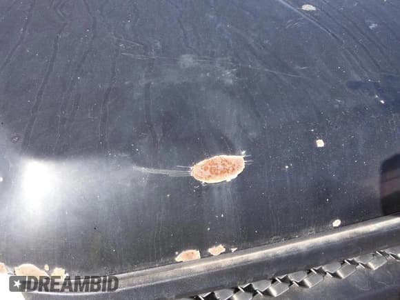 ✅ 2007 Chevrolet Silverado 1500 1LT • VIN: 2GCEC19C171708238 • Lot: 43661739. Listed on IAAI with 167,448 mi. Free auction sales archive from the USA and detailed vehicle history report at DreamBid. Image 21.