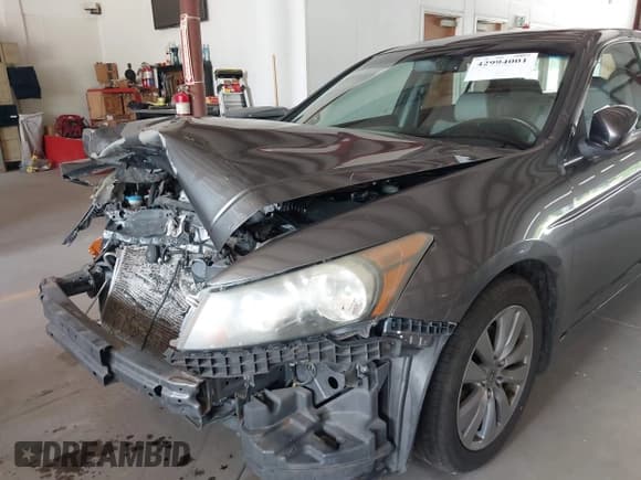 ✅ 2011 Honda Accord EX-L • VIN: 1HGCP3F89BA032466 • Lot: 42994001. Wystawiony na IAAI z przebiegiem 68 343 mil. Bezpłatny archiwum sprzedaży aukcyjnych z USA i szczegółowy raport historii pojazdu na DreamBid. Zdjęcie 6.