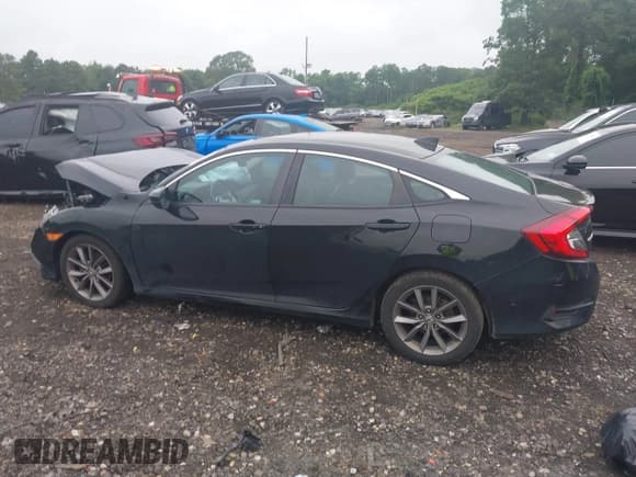 ✅ 2020 Honda Civic EX-L • VIN: 19XFC1F71LE208511 • Lot: 42697794. Listed on IAAI with 117,195 mi. Free auction sales archive from the USA and detailed vehicle history report at DreamBid. Image 14.