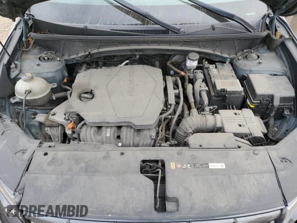 ✅ 2022 Hyundai Tucson SE • VIN: KM8JACAE9NU040957 • Lot: 81046605. Wystawiony na Copart z przebiegiem 57 654 mil. Bezpłatny archiwum sprzedaży aukcyjnych z USA i szczegółowy raport historii pojazdu na DreamBid. Zdjęcie 11.