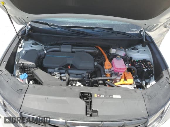 ✅ 2023 Hyundai Tucson SEL Convenience • VIN: KM8JFCA11PU105222 • Lot: 51111963. Wystawiony na Copart z przebiegiem 1 071 mil. Bezpłatny archiwum sprzedaży aukcyjnych z USA i szczegółowy raport historii pojazdu na DreamBid. Zdjęcie 13.