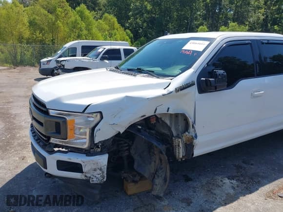 ✅ 2019 Ford F-150 XL • VIN: 1FTEW1E59KFA21878 • Lot: 43064601. Wystawiony na IAAI z przebiegiem 250 711 mil. Bezpłatny archiwum sprzedaży aukcyjnych z USA i szczegółowy raport historii pojazdu na DreamBid. Zdjęcie 6.