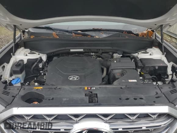 ✅ 2020 Hyundai Palisade Limited • VIN: KM8R54HE1LU150529 • Лот: 87302824. Опубликован ранее на Copart с пробегом 81 313 миль. Бесплатный доступ к архиву аукционных продаж из США и подробный отчёт об истории автомобиля на DreamBid. Изображение 12.