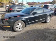 ✅ 2006 Ford Mustang Standard • VIN: 1ZVHT80N865119329 • Lot: 43561715. Wystawiony na IAAI z przebiegiem 163 003 mil. Bezpłatny archiwum sprzedaży aukcyjnych z USA i szczegółowy raport historii pojazdu na DreamBid. Zdjęcie 17.