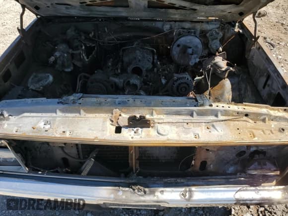 ✅ 1986 Chevrolet Silverado 1500 • VIN: 1GCDC14H7GF393324 • Lot: 83980665. Wystawiony na Copart z przebiegiem Nie podano. Bezpłatny archiwum sprzedaży aukcyjnych z USA i szczegółowy raport historii pojazdu na DreamBid. Zdjęcie 11.