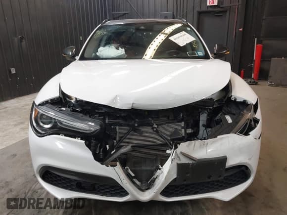 ✅ 2020 Alfa Romeo Stelvio Sport • VIN: ZASPAKANXL7C74892 • Лот: 41694168. Опубликован ранее на IAAI с пробегом 38 788 миль. Бесплатный доступ к архиву аукционных продаж из США и подробный отчёт об истории автомобиля на DreamBid. Изображение 6.