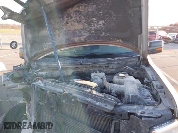 ✅ 2011 Ford F-150 XL • VIN: 1FTMF1CM6BKD82255 • Lot: 43718718. Listed on IAAI with Not provided. Free auction sales archive from the USA and detailed vehicle history report at DreamBid. Image 10.