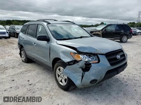 ✅ 2009 Hyundai Santa Fe GLS • VIN: 5NMSG73D59H314297 • Lot: 71824734. Listed on Copart with 162,643 mi. Free auction sales archive from the USA and detailed vehicle history report at DreamBid. Image 11.
