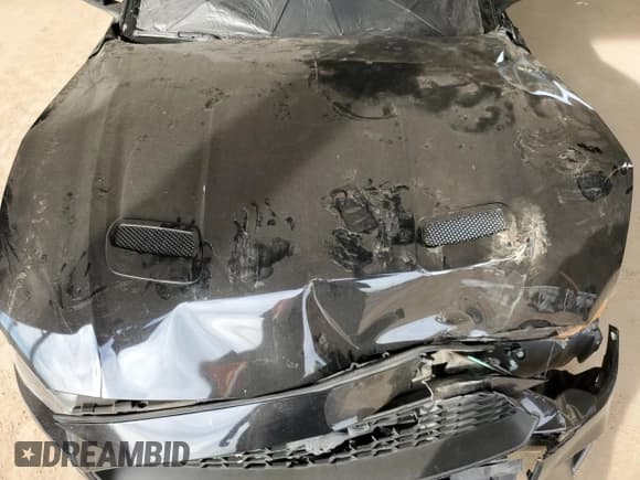 ✅ 2019 Ford Mustang EcoBoost • VIN: 1FA6P8TH5K5193196 • Lot: 91090405. Wystawiony na Copart z przebiegiem Nie podano. Bezpłatny archiwum sprzedaży aukcyjnych z USA i szczegółowy raport historii pojazdu na DreamBid. Zdjęcie 11.