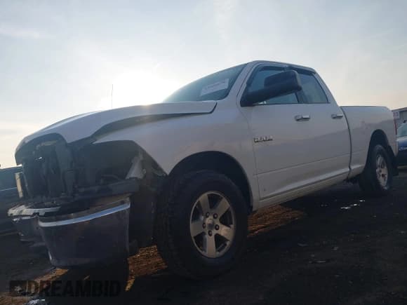 ✅ 2010 Dodge 1500 SLT • VIN: 1D7RV1GP1AS173748 • Lot: 43566678. Listed on IAAI with 169,034 mi. Free auction sales archive from the USA and detailed vehicle history report at DreamBid. Image 2.