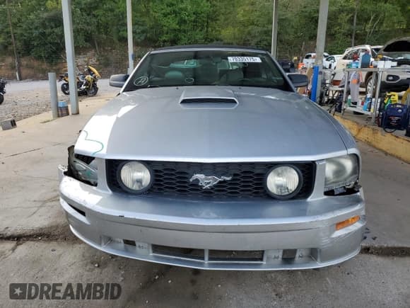 ✅ 2009 Ford Mustang GT • VIN: 1ZVHT85H295120659 • Lot: 70335175. Wystawiony na Copart z przebiegiem 147 583 mil. Bezpłatny archiwum sprzedaży aukcyjnych z USA i szczegółowy raport historii pojazdu na DreamBid. Zdjęcie 5.