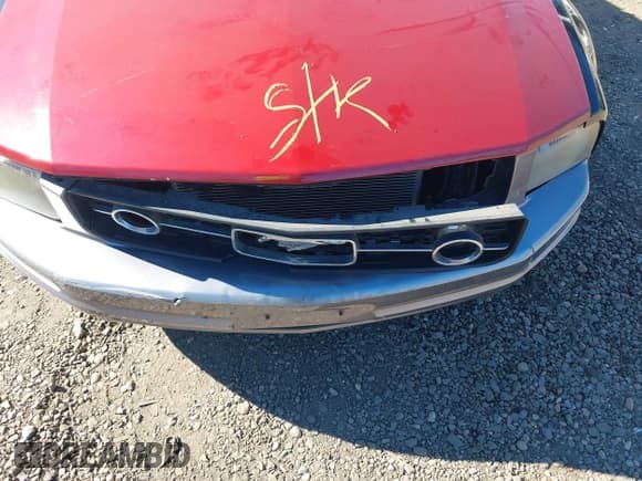 ✅ 2007 Ford Mustang Deluxe • VIN: 1ZVFT80N675275698 • Lot: 43552453. Listed on IAAI with Not provided. Free auction sales archive from the USA and detailed vehicle history report at DreamBid. Image 10.