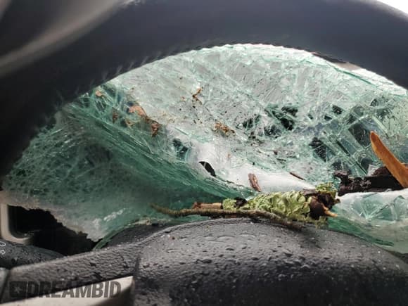 ✅ 2017 Ford F-250 Lariat • VIN: 1FT7W2BT8HED63578 • Lot: 83994575. Listed on Copart with Not provided. Free auction sales archive from the USA and detailed vehicle history report at DreamBid. Image 9.