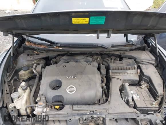 2013 Nissan Maxima SV с VIN 1N4AA5APXDC819070, выставлен на аукционе IAAI как лот 43109050 с пробегом 145 429 миль миль и . История ставок и продаж доступна на DreamBid. Изображение 10.