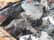 ✅ 2014 Audi A5 Premium Plus • VIN: WAULFAFR2EA007165 • Lot: 42729530. Listed on IAAI with Not provided. Free auction sales archive from the USA and detailed vehicle history report at DreamBid. Image 7.