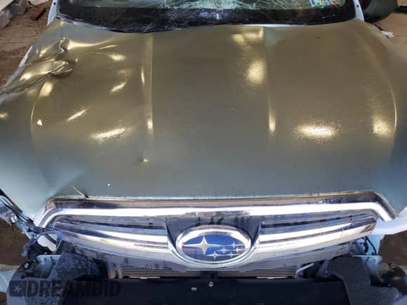 2015 Subaru Forester Premium with VIN JF2SJADC1FG527174, listed as a Copart auction lot 63312005 with 76,204 mi miles and Salvage title. Bid and sale history available at DreamBid. Image 12.