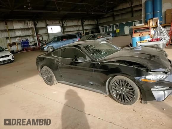 ✅ 2019 Ford Mustang EcoBoost • VIN: 1FA6P8TH5K5193196 • Lot: 91090405. Wystawiony na Copart z przebiegiem Nie podano. Bezpłatny archiwum sprzedaży aukcyjnych z USA i szczegółowy raport historii pojazdu na DreamBid. Zdjęcie 13.