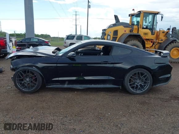 ✅ 2021 Ford Mustang GT • VIN: 1FA6P8CF7M5116461 • Lot: 43213817. Listed on IAAI with 103,210 mi. Free auction sales archive from the USA and detailed vehicle history report at DreamBid. Image 15.