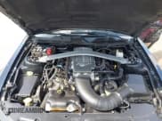 ✅ 2010 Ford Mustang GT • VIN: 1ZVBP8CH9A5169195 • Лот: 42704649. Опубликован ранее на IAAI с пробегом 142 722 миль. Бесплатный доступ к архиву аукционных продаж из США и подробный отчёт об истории автомобиля на DreamBid. Изображение 10.