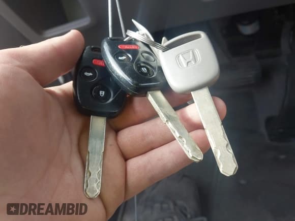 ✅ 2009 Honda Civic EX • VIN: 2HGFA16809H516797 • Lot: 43731030. Listed on IAAI with 211,700 mi. Free auction sales archive from the USA and detailed vehicle history report at DreamBid. Image 11.