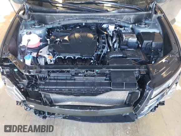 ✅ 2023 Hyundai Tucson SEL • VIN: 5NMJB3AE9PH195827 • Lot: 80999524. Wystawiony na Copart z przebiegiem 45 676 mil. Bezpłatny archiwum sprzedaży aukcyjnych z USA i szczegółowy raport historii pojazdu na DreamBid. Zdjęcie 12.