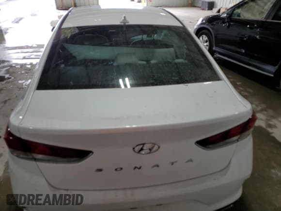 ✅ 2019 Hyundai Sonata SEL • VIN: 5NPE34AF2KH807620 • Lot: 47046763. Listed on Copart with Not provided. Free auction sales archive from the USA and detailed vehicle history report at DreamBid. Image 6.