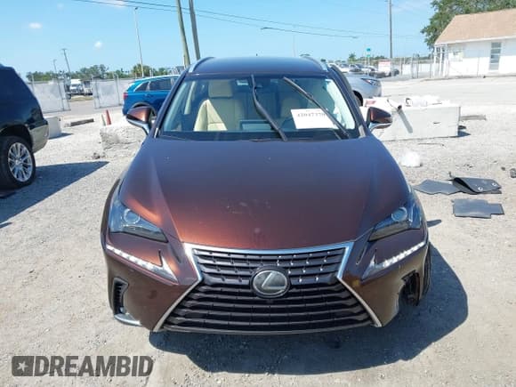 ✅ 2018 Lexus NX 300 • VIN: JTJYARBZ9J2100083 • Lot: 42047370. Wystawiony na IAAI z przebiegiem 101 414 mil. Bezpłatny archiwum sprzedaży aukcyjnych z USA i szczegółowy raport historii pojazdu na DreamBid. Zdjęcie 12.
