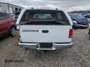 ✅ 2001 Dodge Dakota • VIN: 1B7GL22X61S343302 • Lot: 85501134. Wystawiony na Copart z przebiegiem 170 049 mil. Bezpłatny archiwum sprzedaży aukcyjnych z USA i szczegółowy raport historii pojazdu na DreamBid. Zdjęcie 6.