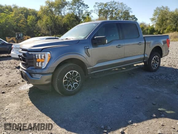 ✅ 2022 Ford F-150 XLT • VIN: 1FTEW1EP2NFA76761 • Lot: 81878395. Listed on Copart with 124,925 mi. Free auction sales archive from the USA and detailed vehicle history report at DreamBid. Image 1.