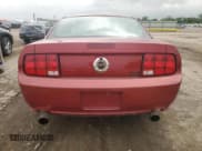 ✅ 2008 Ford Mustang GT Deluxe • VIN: 1ZVHT82HX85125580 • Lot: 54622405. Listed on Copart with 117,354 mi. Free auction sales archive from the USA and detailed vehicle history report at DreamBid. Image 6.