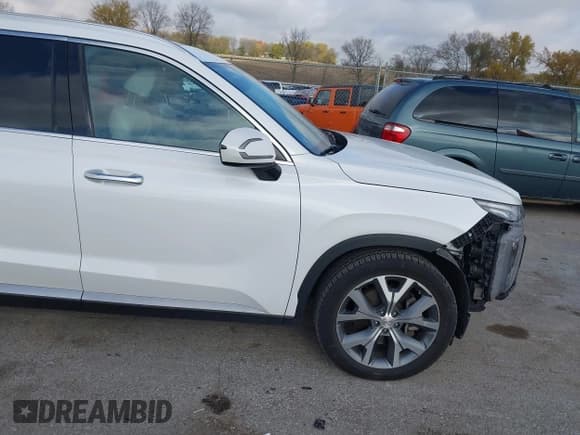 ✅ 2020 Hyundai Palisade SEL • VIN: KM8R4DHE4LU134554 • Lot: 43585546. Listed on IAAI with 95,251 mi. Free auction sales archive from the USA and detailed vehicle history report at DreamBid. Image 19.