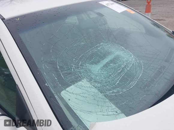 ✅ 2010 Ford Fusion SE • VIN: 3FAHP0HA1AR178700 • Lot: 43734481. Wystawiony na IAAI z przebiegiem 80 996 mil. Bezpłatny archiwum sprzedaży aukcyjnych z USA i szczegółowy raport historii pojazdu na DreamBid. Zdjęcie 20.