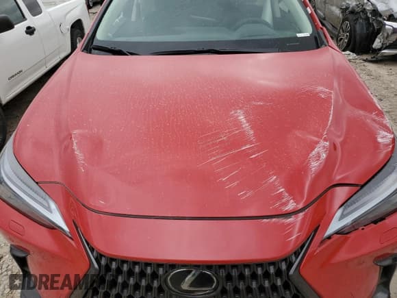 ✅ 2025 Lexus NX 350h Luxury • VIN: 2T2HKCEZ5SC032842 • Lot: 55678195. Listed on Copart with Not provided. Free auction sales archive from the USA and detailed vehicle history report at DreamBid. Image 11.