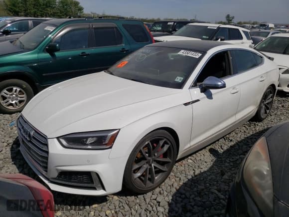 ✅ 2019 Audi S5 Sportback Premium Plus • VIN: WAUB4CF56KA079900 • Lot: 43581433. Wystawiony na Copart z przebiegiem Nie podano. Bezpłatny archiwum sprzedaży aukcyjnych z USA i szczegółowy raport historii pojazdu na DreamBid. Zdjęcie 1.