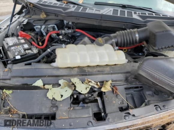 ✅ 2024 Ford F-150 STX • VIN: 1FTFW2L57RKF27448 • Lot: 69871225. Listed on Copart with 27,131 mi. Free auction sales archive from the USA and detailed vehicle history report at DreamBid. Image 11.