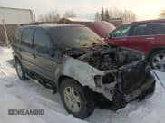 ✅ 2005 Ford Escape XLT • VIN: 1FMYU93165KC92924 • Lot: 46076435. Wystawiony na Copart z przebiegiem Nie podano. Bezpłatny archiwum sprzedaży aukcyjnych z USA i szczegółowy raport historii pojazdu na DreamBid. Zdjęcie 4.