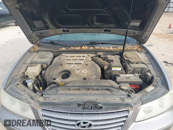 2007 Hyundai Azera SE с VIN KMHFC46F17A194011, выставлен на аукционе IAAI как лот 41863372 с пробегом 161 904 миль миль и . История ставок и продаж доступна на DreamBid. Изображение 10.