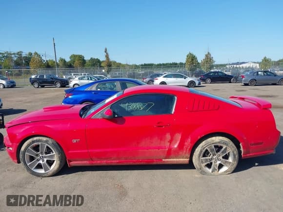 ✅ 2008 Ford Mustang GT Deluxe • VIN: 1ZVHT82H285128201 • Lot: 43188377. Listed on IAAI with 58,469 mi. Free auction sales archive from the USA and detailed vehicle history report at DreamBid. Image 15.