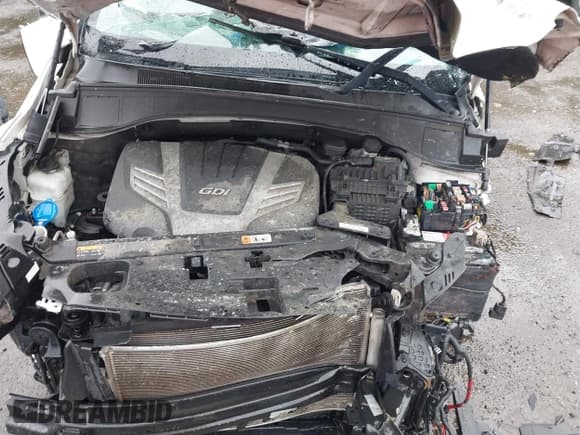 ✅ 2017 Hyundai Santa Fe Limited Ultimate • VIN: KM8SR4HF3HU256244 • Лот: 42244922. Опубликован ранее на IAAI с пробегом 103 363 миль. Бесплатный доступ к архиву аукционных продаж из США и подробный отчёт об истории автомобиля на DreamBid. Изображение 6.