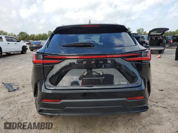 ✅ 2025 Lexus NX 250 Premium • VIN: 2T2GDCAZ7SC031820 • Lot: 90239265. Wystawiony na Copart z przebiegiem Nie podano. Bezpłatny archiwum sprzedaży aukcyjnych z USA i szczegółowy raport historii pojazdu na DreamBid. Zdjęcie 6.