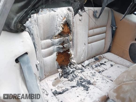 ✅ 1998 Ford Mustang GT • VIN: 1FAFP45X7WF273743 • Lot: 42440313. Wystawiony na IAAI z przebiegiem 157 574 mil. Bezpłatny archiwum sprzedaży aukcyjnych z USA i szczegółowy raport historii pojazdu na DreamBid. Zdjęcie 8.