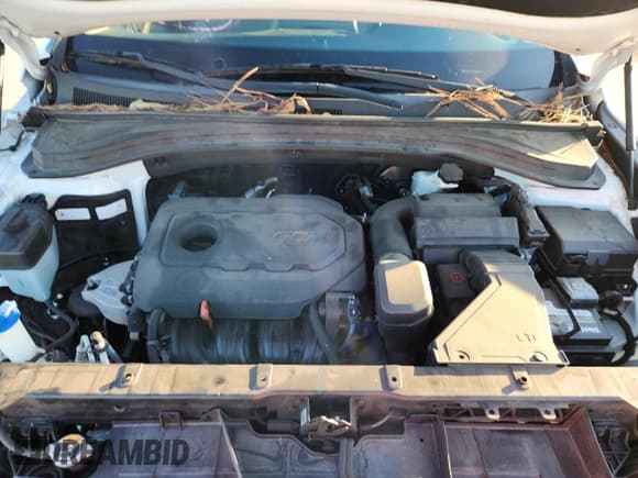 ✅ 2020 Hyundai Santa Fe SE • VIN: 5NMS23AD6LH155646 • Lot: 82552715. Wystawiony na Copart z przebiegiem 61 098 mil. Bezpłatny archiwum sprzedaży aukcyjnych z USA i szczegółowy raport historii pojazdu na DreamBid. Zdjęcie 12.