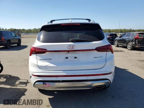 2023 Hyundai Santa Fe Calligraphy with VIN 5NMS5DAL6PH520255, listed as a Copart auction lot 82090035 with 44,423 mi miles and Salvage title. Bid and sale history available at DreamBid. Image 6.