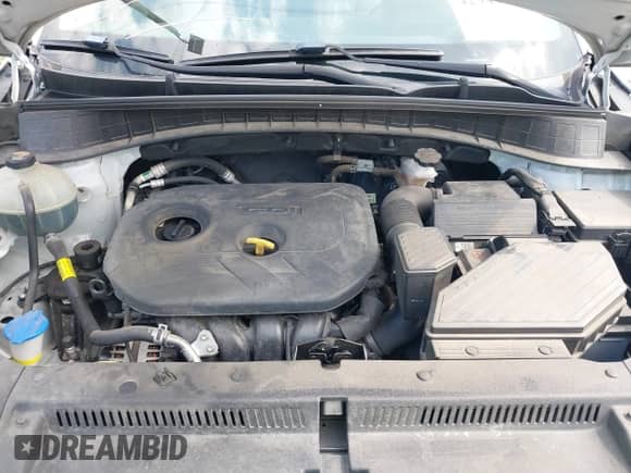 2019 Hyundai Tucson Value с VIN KM8J33A42KU024421, выставлен на аукционе IAAI как лот 42949806 с пробегом 99 155 миль миль и . История ставок и продаж доступна на DreamBid. Изображение 10.