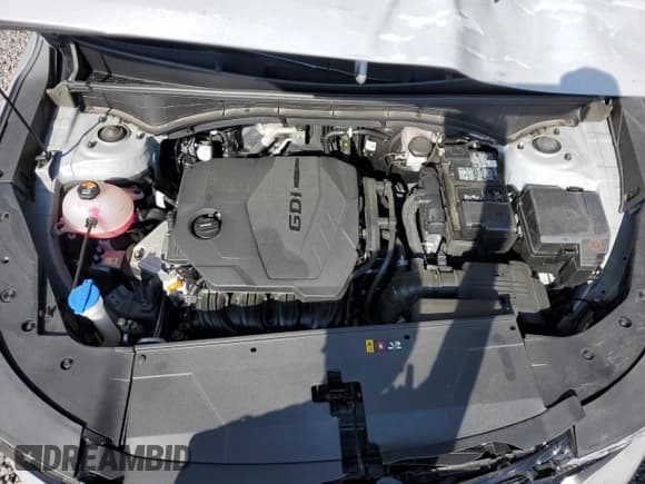 ✅ 2024 Kia Sorento S • VIN: 5XYRL4JCXRG271816 • Lot: 70826255. Listed on Copart with 20,731 mi. Free auction sales archive from the USA and detailed vehicle history report at DreamBid. Image 12.